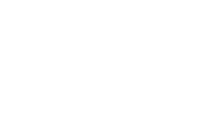 NexOne IT logo